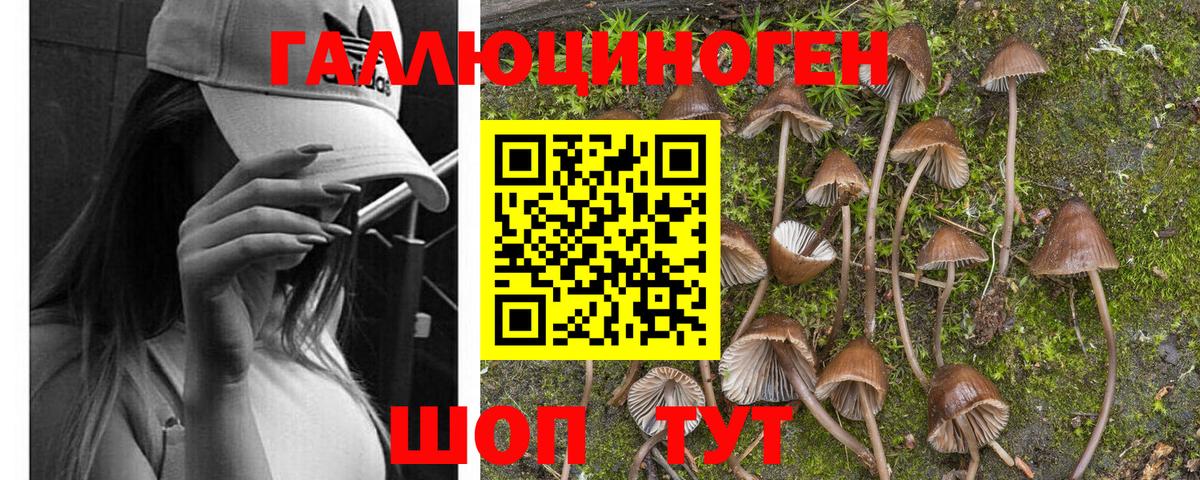 Каменск-Уральский  Псилоцибиновые грибы мухоморы  Вход с VPN 