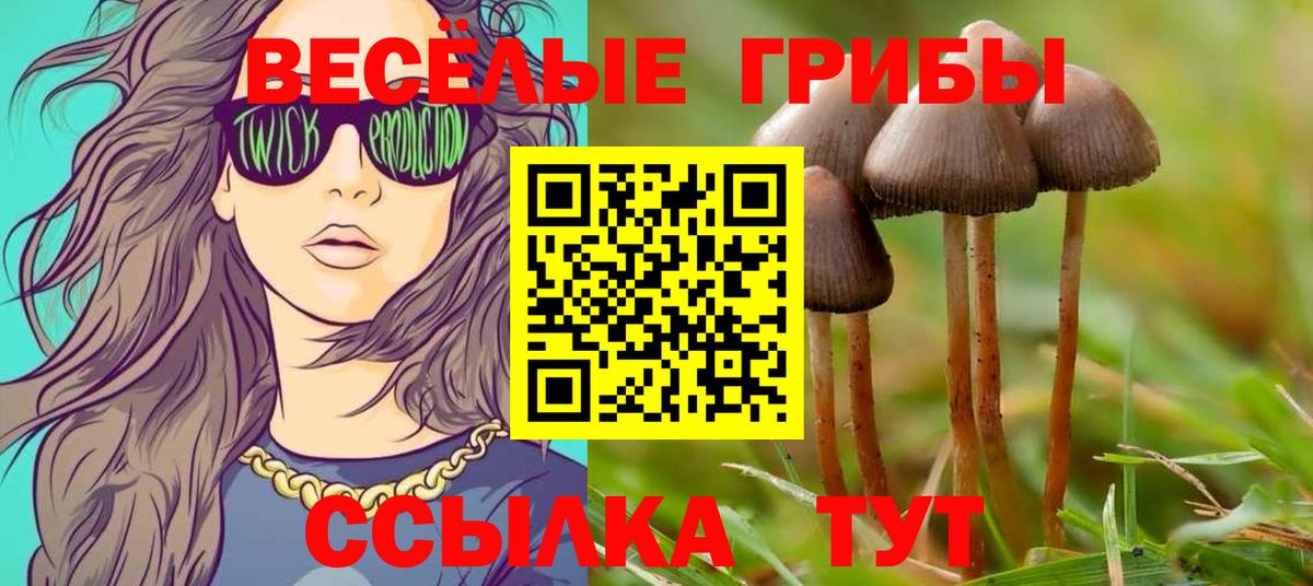 Псилоцибиновые грибы Psilocybe Каменск-Уральский